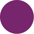 Pinot Purple Circle