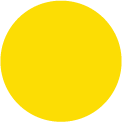 Sunflower Gold Circle
