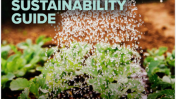 Water pouring from a bucked onto some green plants